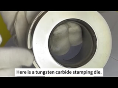 주저우 산신 시멘트 탄화물 - 곰팡이